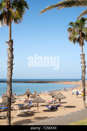 Vue sur la plage les palmiers à Costa Adeje, Tenerife, Canaries Banque D'Images