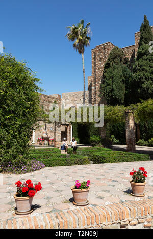 Fleurs à l'Alcazaba de Malaga médiévale datant du 11e siècle, la vieille ville de Málaga, Andalousie, Espagne Europe Banque D'Images