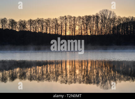 01 avril 2019, le Brandebourg, Groß Schauen : le lever du soleil brille au-dessus de la réserve naturelle Groß Schauener Seenkette. De vastes régions de la zone protégée appartiennent au paysage naturel Sielmann. Photo : Patrick Pleul/dpa-Zentralbild/ZB Banque D'Images