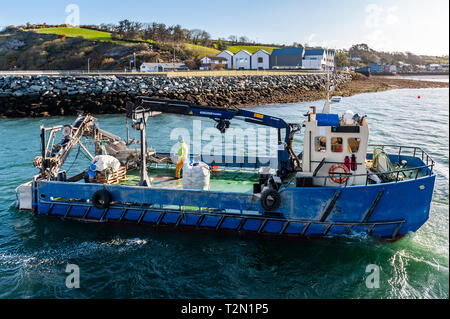 Bantry, West Cork, Irlande. 3ème apr 2019. Un bateau part de pêche de Bantry Bantry Port pour la pêche des moules dans la baie. La journée a commencé avec un fort lumineux, mais des vents du nord. Cet après-midi va voir de longues douches avec hauts de 6 à 9°C. Credit : Andy Gibson/Alamy Live News. Banque D'Images