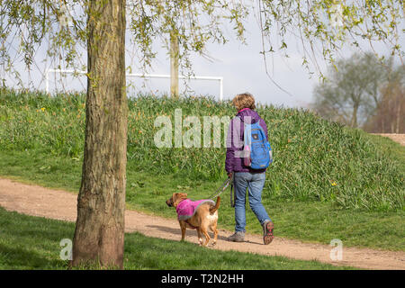 Kidderminster, UK. 3 avril, 2019. Météo France : il y a un démarrage à froid de la journée avec des températures atteignant à peine 6 degrés. Soleil clair est éclater entre les nuages comme les randonneurs de tous types robe pour le temps froid. Les deux chien et propriétaire portent leurs brillantes, manteaux d'hiver. Credit : Lee Hudson/Alamy Live News Banque D'Images