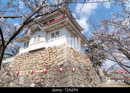 Château de Fukuyama au Japon. La Tsukimi yagura, une tour de deux étages, se dressant au dessus de l'afficheur, vu à travers les fleurs de cerisier fleurs de ci-dessous à l'extérieur des murs intérieurs. Il dispose d'une chute de pierre, trou trou meurtre, à l'avant. Banque D'Images