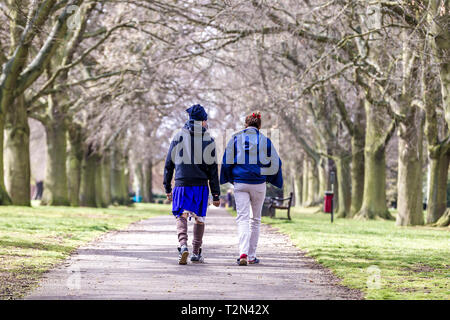 Northampton. 3 avril 2019. Météo France : Abington Park. Un couple en train de marcher à travers l'allée d'arbres menant à Park Avenue South, à la fin du matin, avec des prévisions de Thunder et l'éclairage plus tard cet après-midi. Credit : Keith J Smith./Alamy Live News Banque D'Images