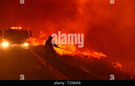 Santa Maria, CA, USA. 7 juillet, 2017. Un pompier douses flammes le long de California Highway 166 East de Santa Maria au cours de l'Alamo Fire. Crédit : Mike Eliason/ZUMA/Alamy Fil Live News Banque D'Images