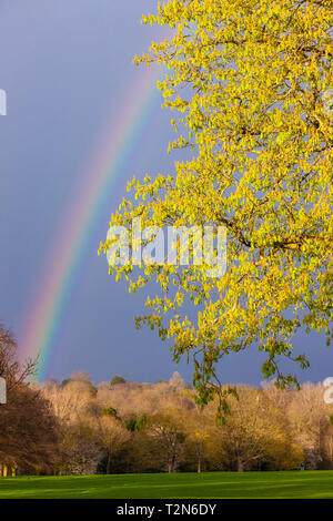 Northampton. Royaume-uni 03 avril 2019. Météo France : un arc-en-ciel de couleurs vives sur Abington Park Crédit : ce soir, Keith J Smith./Alamy Live News Banque D'Images