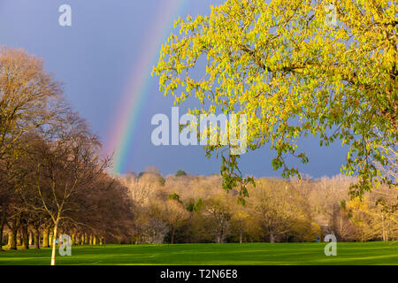 Northampton. Royaume-uni 03 avril 2019. Météo France : un arc-en-ciel de couleurs vives sur Abington Park Crédit : ce soir, Keith J Smith./Alamy Live News Banque D'Images