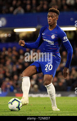 Londres, Royaume-Uni. 06Th avr, 2019. Julien Hudson-Odoi de Chelsea en action. Premier League, Chelsea v Brighton & Hove Albion à Stamford Bridge à Londres le mercredi 3 avril 2019. Cette image ne peut être utilisé qu'à des fins rédactionnelles. Usage éditorial uniquement, licence requise pour un usage commercial. Aucune utilisation de pari, de jeux ou d'un seul club/ligue/dvd publications. pic par Steffan Bowen/ Crédit : Andrew Orchard la photographie de sport/Alamy Live News Banque D'Images