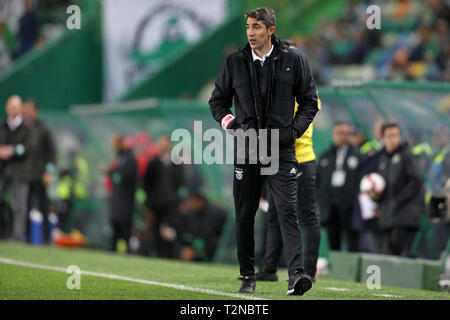 Lisbonne, Portugal. 06Th avr, 2019. Bruno Lage de SL Benfica en action lors de la Coupe du Portugal Placard 2018/2019, 2ème main - demi-finale match de foot entre Sporting CP vs SL Benfica. (Score final : Sporting CP 1 - 0 SL Benfica) Credit : SOPA/Alamy Images Limited Live News Banque D'Images