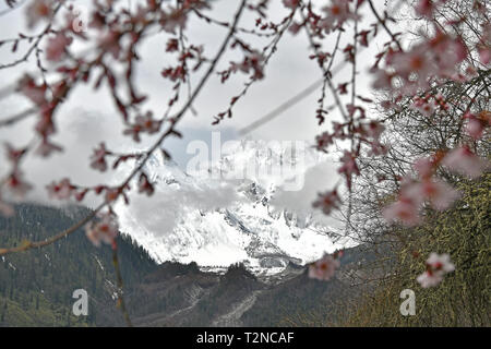 Beijing, Chine. 3ème apr 2019. Photo prise le 3 avril 2019 montre une vue dans le comté de Bomi, du sud-ouest de la Chine dans la région autonome du Tibet. Crédit : Li Xin/Xinhua/Alamy Live News Banque D'Images