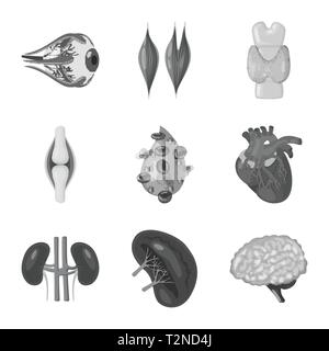 Muscle dorsal,oeil,os,sang,coeur,rein,cerveau,oeil,organes,,moelle,plasma,tendon,cardiologie,esprit,urinaire,Protection,l'appareil locomoteur corps,,joints,moteur,schéma,aorte,pericranium,massage,striés,pression,cartilage interne,médical,des,santé,biologie,scientifique,recherche,,laboratoire anatomie,orgue,,set,icône,,illustration,collection,isolé,design,graphisme,élément signe,gris,noir,vecteurs vecteur , Illustration de Vecteur