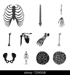 Nervure, genou,poignet,fémur,pied,,hanche,appareil locomoteur ostéoporose,fibre optique,dos,cage,joints,occasion,casse,bassin,cheville osseuse,scientifique,sain,,cell,xray,,chiropratique,ménisque,péroné jambe,calcium squelettique,tissus,le corps,la biologie,médical,os,,squelette anatomie,des,organes,médecine,clinique,,set,icône,,illustration,collection,isolé,design,graphisme,élément,signer,Black,de simples vecteurs vecteur , Illustration de Vecteur