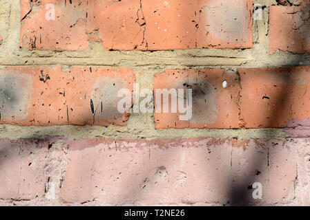 Vieux mur de briques peint avec des ombres de branches sur elle lors d'une journée ensoleillée.. Mur de brique abstract background Banque D'Images