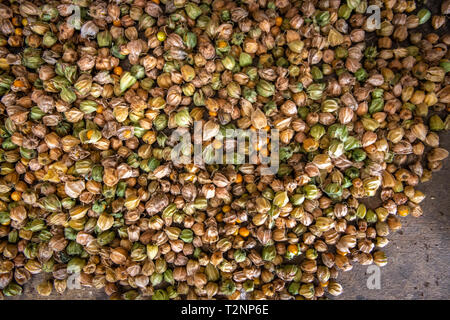 Physalis (Physalis peruviana) à marché plein air, marché de producteurs, le Rwanda au Rwanda Banque D'Images