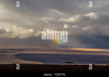 Paysage avec de gros nuages et rayons de lumière Arc-en-ciel, le cratère du Ngorongoro, Ngorongoro Conservation Area, Tanzania Banque D'Images