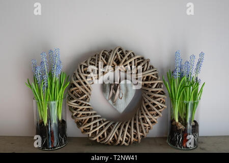 La décoration de la maison. Couronne, avec un coeur en bois à l'intérieur et 2 vases à côté de lui avec un hyacint de raisin à l'intérieur Banque D'Images