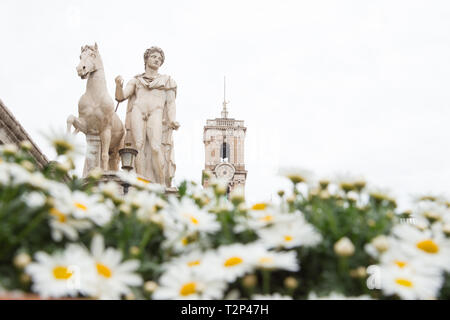 Roma, Italie. 06Th avr, 2019. Les marguerites le long de l'escalier du Capitole Crédit : Matteo Nardone/Pacific Press/Alamy Live News Banque D'Images