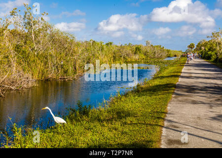 Shark Valley Domaine du Parc National des Everglades en Floride aux États-Unis Banque D'Images