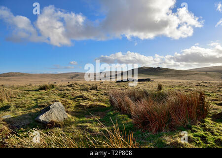 La lande de Dartmoor à l'ensemble des landes ouvertes vers l'Oke Tor, Devon Banque D'Images