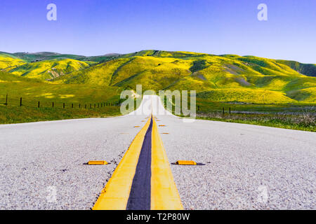 Route pavée traversant montagnes couvertes de fleurs sauvages, Carrizo Plain National Monument, le Centre de la Californie Banque D'Images