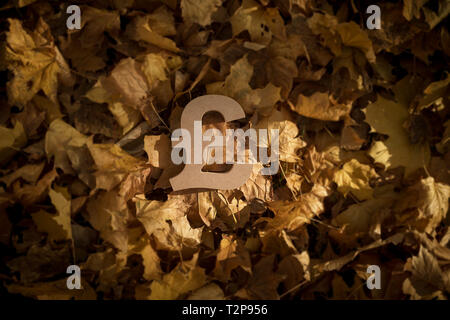 La livre sterling du symbole de la devise sur les feuilles d'automne à la fin de soleil du soir Banque D'Images