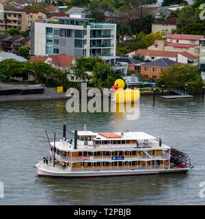 Sur le fleuve de Brisbane un bateau à vapeur à aubes sails passé un grand canard en caoutchouc jaune amarré avant son prochain événement de bienfaisance. Banque D'Images