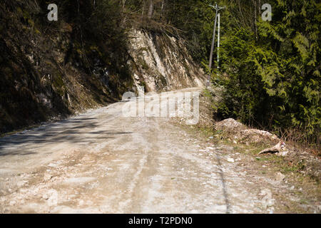 Route du service forestier de Norrish Creek à Dewdney, Mission, Colombie-Britannique, Canada Banque D'Images