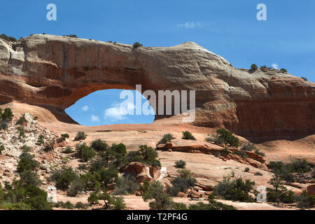 L'Arche de Wilson, de l'Utah, l'Amérique. Banque D'Images