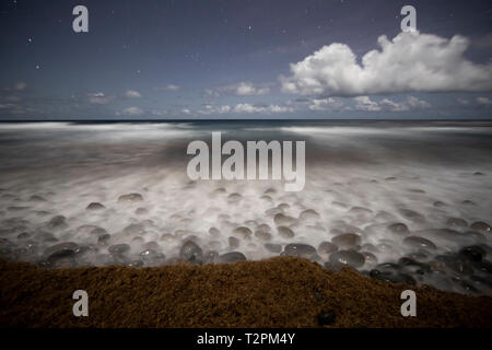 Côte de nuit, La Plaine, la Dominique, les Caraïbes Banque D'Images