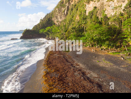 Station balnéaire de la côte est de la Dominique, des Caraïbes Banque D'Images