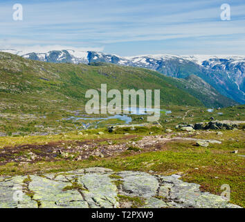 Été Roldal des collines calédoniennes paysage de montagne avec de petits lacs et des maisons de la pente (la Norvège, sur la randonnée à vélo à Trolltunga de Odda). Banque D'Images