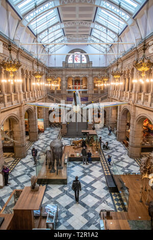 Un avion suspendu dans le hall de la musée de Kelvingrove d'animaux bourrés à Glasgow, Ecosse Banque D'Images