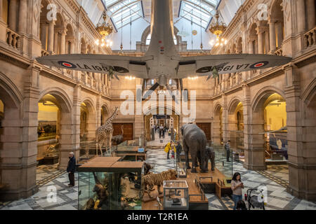 Un avion suspendu dans le hall de la musée de Kelvingrove d'animaux bourrés à Glasgow, Ecosse Banque D'Images