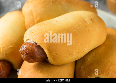 Saucisse de Boeuf maison Kolache prêt à manger Banque D'Images