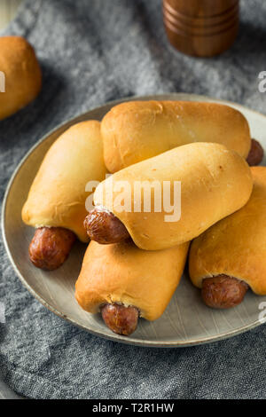 Saucisse de Boeuf maison Kolache prêt à manger Banque D'Images