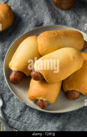 Saucisse de Boeuf maison Kolache prêt à manger Banque D'Images