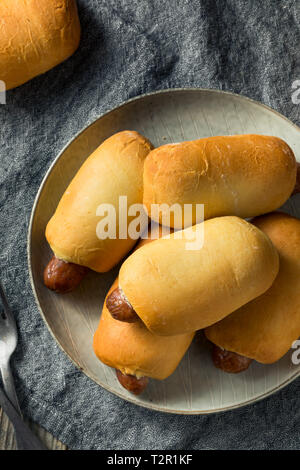 Saucisse de Boeuf maison Kolache prêt à manger Banque D'Images