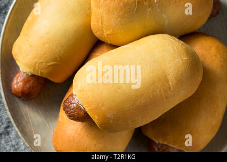 Saucisse de Boeuf maison Kolache prêt à manger Banque D'Images