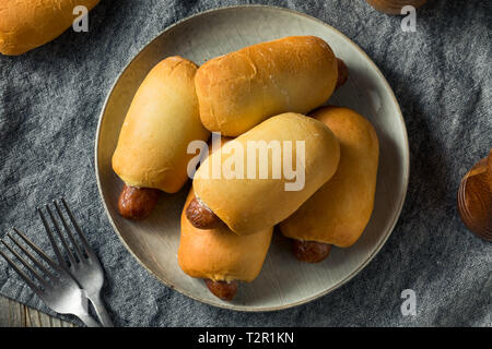 Saucisse de Boeuf maison Kolache prêt à manger Banque D'Images