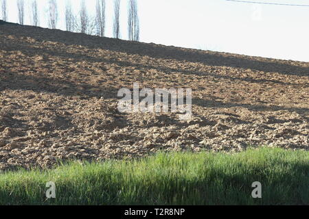 Terre de Rocchetta Tanaro Banque D'Images