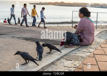 COLOMBO, SRI LANKA - Février 19, 2019 : une femme sri lankaise locale assis à Galle Face plage à côté de corbeau noir oiseaux, Colombo. Banque D'Images