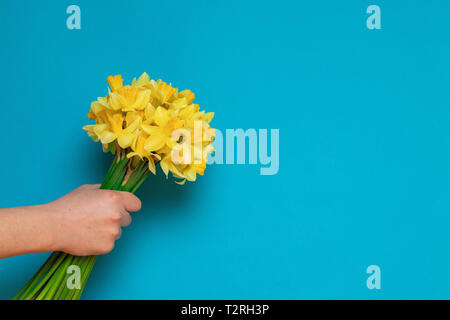 Bouquet de jonquilles jaune frais de femmes sur un fond bleu avec un espace réservé au texte Banque D'Images