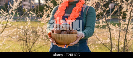 La fille est maintenant un bol avec des beignes. Des pâtisseries traditionnelles pour King's Day Festival aux Pays-Bas. Pique-nique en famille dans le parc avec arbres en fleurs Banque D'Images