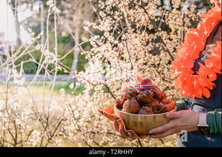 La fille est maintenant un bol avec des beignes. Des pâtisseries traditionnelles pour King's Day Festival aux Pays-Bas. Pique-nique en famille dans le parc avec arbres en fleurs Banque D'Images