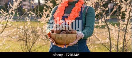 La fille est maintenant un bol avec des beignes. Des pâtisseries traditionnelles pour King's Day Festival aux Pays-Bas. Pique-nique en famille dans le parc avec arbres en fleurs Banque D'Images