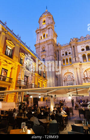 La cathédrale de Málaga et le palais des évêques éclairé la nuit, vue depuis la Plaza del Obispo, vieille ville de Malaga, Andalousie Espagne Banque D'Images