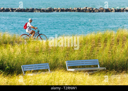 Miami Beach Florida,South Pointe Park,point,Atlantic Ocean Water Gouvernement Cut,jetée,brise-lames,espace public urbain,littoral,dunes,herbe,végétation,ad Banque D'Images