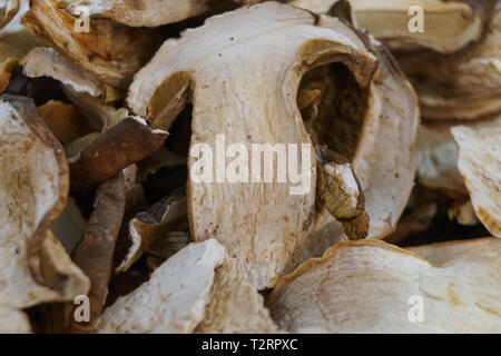 Close up of lot de tranches de champignons bruns secs Boletus edulis. Tranches de champignons séchés Banque D'Images