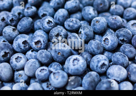 Close up bleuets frais regroupés repas sain macro Banque D'Images