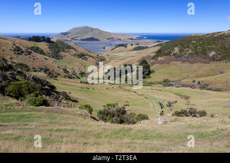 Vue panoramique sur la campagne dans la péninsule d'Otago Banque D'Images