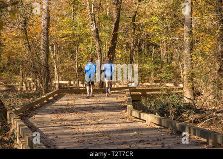 Cette voie verte offre une belle promenade dans la nature ou un jogging dans un cadre naturel bien qu'il soit au milieu d'une ville. C'est un endroit calme et paisible pour se regrouper. Banque D'Images